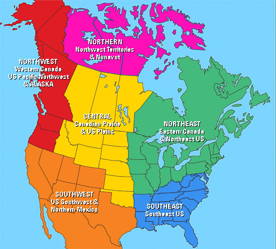 the map